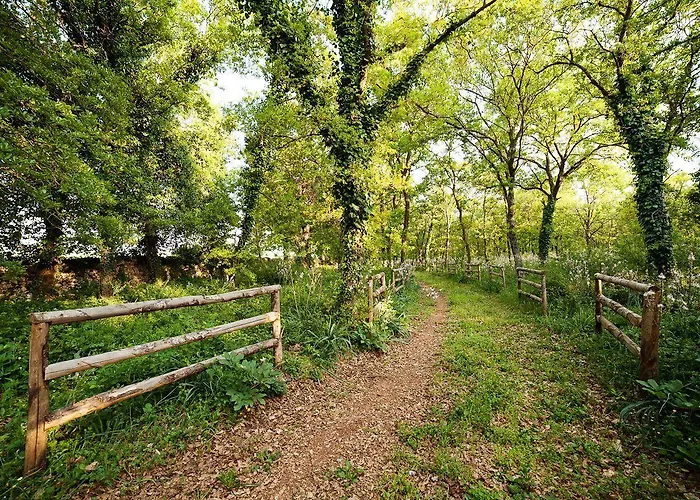 Farm stay Tenute D'onghia Gioia Del Colle