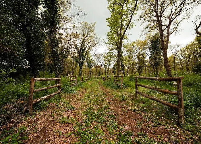 Tenute D'onghia Farm stay
